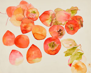 Ruth Asawa's Untitled (Persimmons) (coutesy of R. A. Lanier, Inc./ARS/David Zwirner, private collection, c. 1970s–1980s)