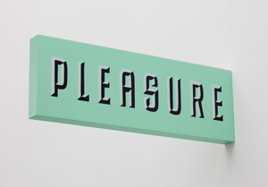 Matthew Brannon's Pleasure / Guilty (Casey Kaplan gallery, 2011)