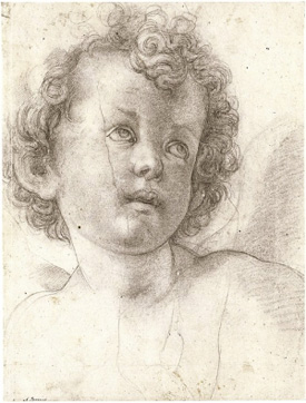 Agnolo Bronzino's Head of a Curly-Haired Child (Staatliche Kunstsammlungen, Dresden, c. 1527)