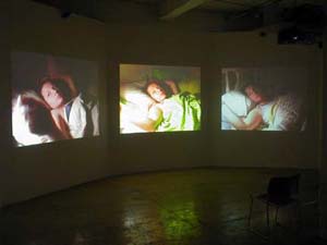 Beth Campbell's Same as Me (Roebling Hall, 2002)