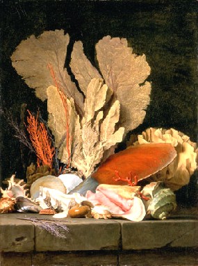 Anne Vallayer-Coster's Still Life with Seashells and Coral (Musée du Louvre, 1769)