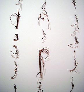 Cui Fei's Manuscript of Nature V (Cheryl McGinnis gallery, 2007)