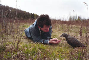 Dan Torop's Dan with Bird (Higher Pictures, 2002)