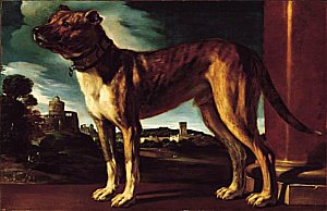 Guercino's Aldrovandi Dog (Norton Simon Museum, c. 1625)