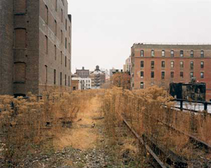 Joel Sternfeld's The High Line, Looking North from 26th Street (Pace McGill, 2000)