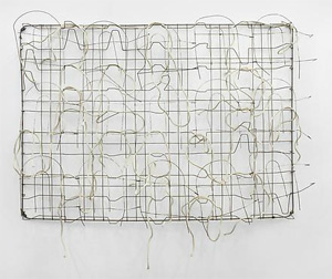 Bill Jenkins's Bed with Rope and Fence (James Cohan gallery, 2012)