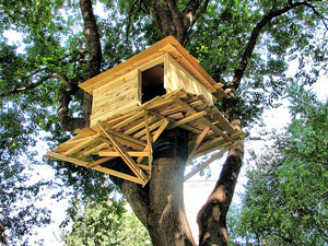 Tadashi Kawamata's Madison Square Tree Huts (photo by Moe Beitiks/Inhabitat, 2008)