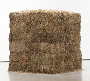 Cildo Meireles's Fio (Thread) (Museum of Modern Art, 1990–1995)
