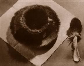 Meret Oppenheim's Le Déjeuner en Fourrure (photo by Man Ray, 1936)