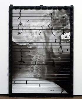 Nari Ward's Riot Gate Skull (side view) (Lehmann Maupin, 2010)