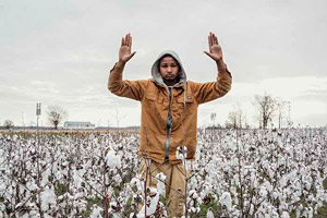 Radcliffe Roye's Cotton Field (courtesy of the artist, CCCADI, 2014)