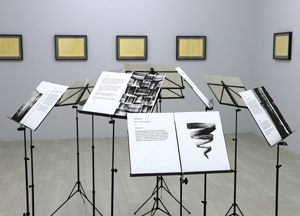 Song-Ming Ang's Notes (image courtesy of the artist/Asia Society, 2015)