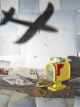 Sheida Soleimani's Correapondents (copyright the artist, Edel Assanti/Harlan Levey Projects, 2024)