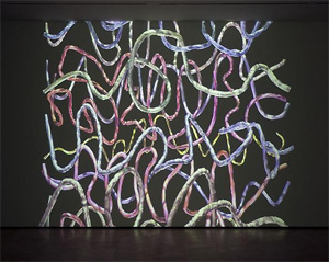Jennifer Steinkamp's Premature 2 (installation view) (Lehmann Maupin, 2010)