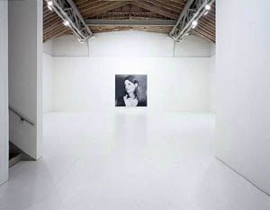 Rudolf Stingel's Untitled (Paula Cooper gallery, 2005)