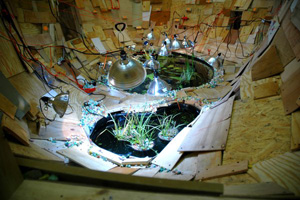 Phoebe Washburn's Minor In-House Brain Storm (interior view) (Whitney Museum of American Art, 2006)