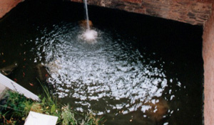 Meg Webster's Pool (MoMA PS1, 1998)