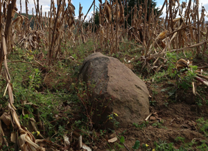 photo by Julio Calel: the actual Jaguar Stone (courtesy of Proyectos Ultravioleta, SculptureCenter)